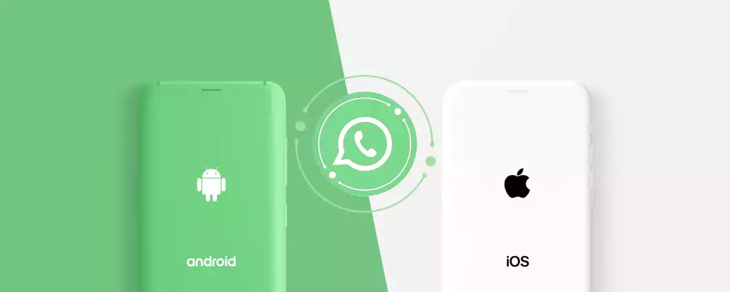 WhatsApp-android-iOS