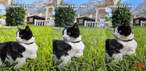 Xiaomi 12T Pro, iPhone 14 Pro Max and Galaxy S22 Ultra-3